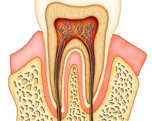 Почему болит зуб под коронкой?
